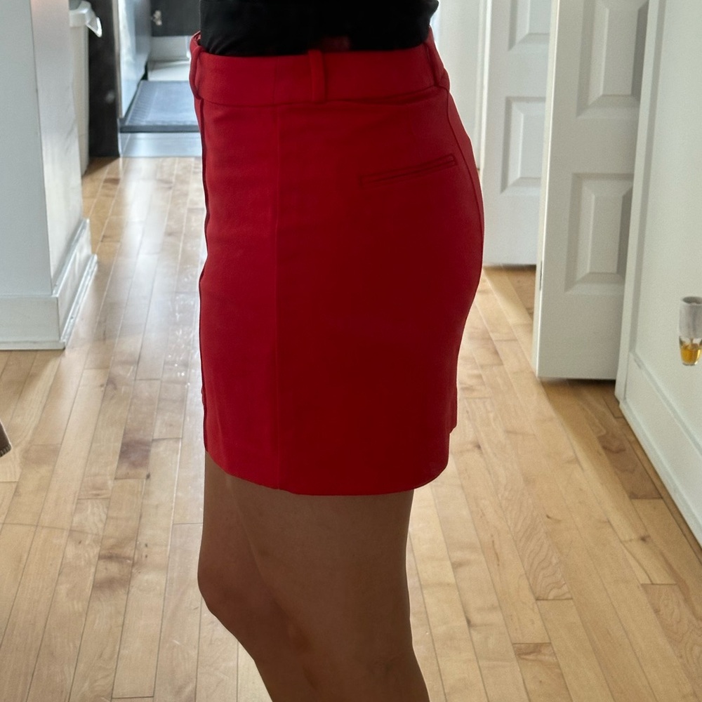 Red Mini Skirt - Picture 3 of 3